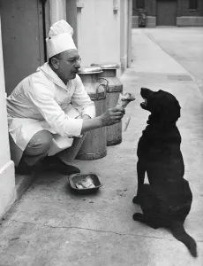 Chef Andrew Schillar gives a dog a bone from the side entrance of his kitchen. undated