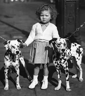 Breed Prints: Child with dalmations. Three year old Jennifer Gulding of Cambridge makes sure these