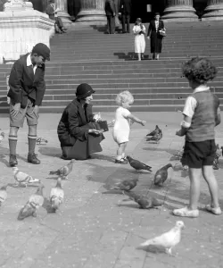 Children feeding the pigeons by the steps of St Pauls Cathedral, Saint Pauls Church Yard