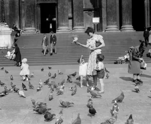 Hats Prints: Children feeding the pigeons by the steps of St Pauls Cathedral, Saint Pauls Church Yard