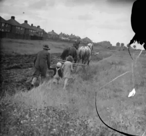 Farmer Prints: Children follow a farmer and his horse team ploughing a field in New Eltham, London