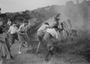 Children putting out fire, Dartford Heath. 1937