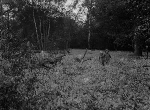 Wood Prints: Children walking among the bluebells. 1935