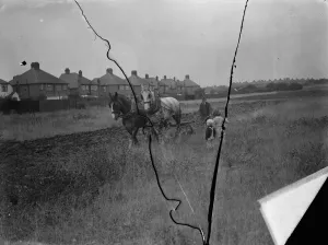 Children watch a farmer and his horse team ploughing a field in New Eltham, London