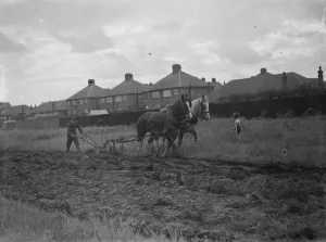 Farmer Prints: Children watch a farmer and his horse team ploughing a field in New Eltham, London