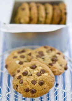Vegetables Collection: Chocolate chip cookies on cooling rack credit: Marie-Louise Avery / thePictureKitchen