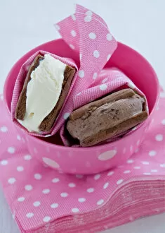 Bowls Collection: Chocolate and vanilla icecream in homemade chocolate biscuits wrapped in spotty pink