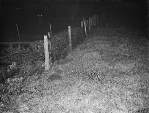 Fence Prints: Church Road in Kingsdown, Kent. 12 December 1938