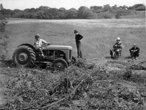 Fifties Prints: Churchill with Christopher Soames and Anthony Eden on his farm at Chartwell in Westerham