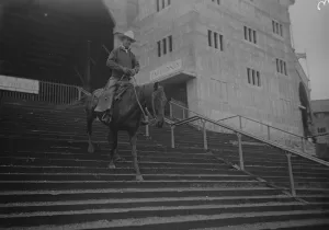 A clever cow horse at Wembley. A rodeo cowboy at Wembley showing the skill of his