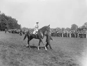 Clochnaben, racehorse withs Donoghue up. 17 May 1924
