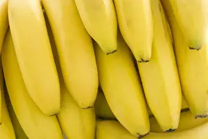 Bunch Prints: Close up of binch of bananas credit: Marie-Louise Avery / thePictureKitchen / TopFoto