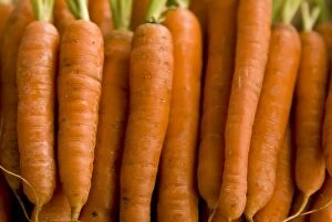 Vegetables Collection: Close up of carrots lined up. credit: Marie-Louise Avery / thePictureKitchen / TopFoto