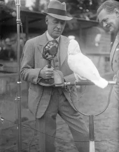 Cockatoo needed coaxing. Zoo broadcast. Under the persuasion of Uncle Mac