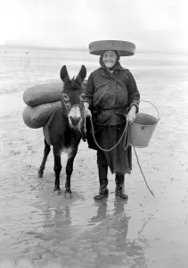 One of the cockle ladies of Penclawdd South Wales Mrs Lizzie Davies had worked