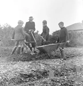 Cockney children from the Sydenham Road area of Croydon grow into farmers after evacuation