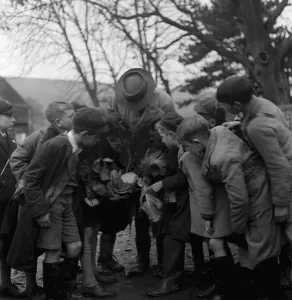 Cockney children from the Sydenham Road area of Croydon grow into farmers after evacuation