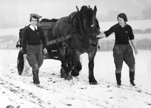 Snow Prints: Cold Work for Land Girls Two land girls on a farm at Hartley Kent muck carting across