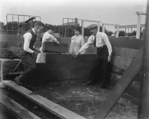 Concrete Houses at Harlow, Essex Cement after leaving the mould. Mr G K Harkness