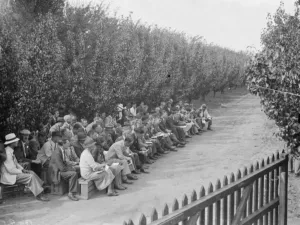 The Conference day at the East Malling Research Station in Kent. 14 September 1938