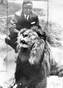 International Herald Tribune Prints: Congo Premier Moise Tshombe playing with a tame lion in the Royal Gardens of Emperor