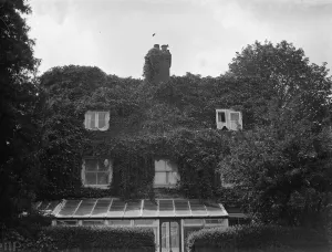 Plant Prints: The front of a cottage in Sevenoaks covered in ivy. 1938