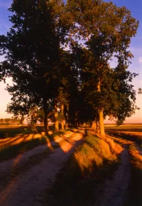 Landscapes Prints: Country Lane near Barbazan, France