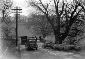 Telegraph Pole Prints: Country road in Kent. 1933