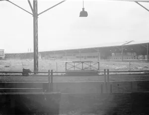 Sporting Prints: Crayford Greyhound Stadium. 1 July 1937