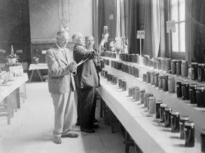 Judges Prints: Crayford honey festival. 1935
