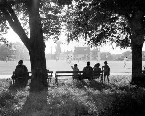 Cricket on the village green. Evening on the village green at Meopham, Kent while