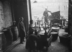 Crockenhill Woods December. 1934