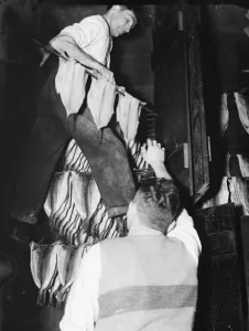 Fish Prints: Curing fish in a limehouse in Stepney. 1936