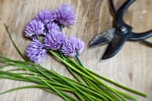 Herb Collection: Cut chives on wooden surface with Japanese scissors credit: Marie-Louise Avery