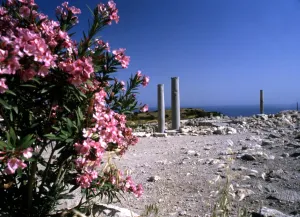 Ancient Prints: Cyprus. Curium. Roman remains
