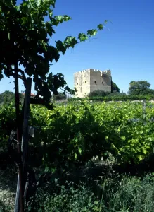 Cyprus. Kolossi. Templars Castle
