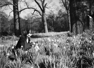 Wood Prints: Daffodil time. 1935