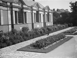 Pathway Prints: Dahlia beds at Dartford Central Park. 1936