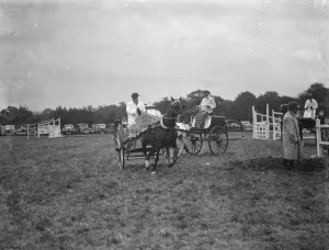 Horse Drawn Prints: Dairy carts at a horse show in Westerham, Kent. 1936