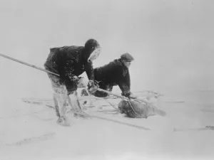 Daring attempt to drift across polar sea. Helplessly locked in ice for twenty four months