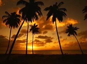 Islands Collection: Darkwood Beach at sunset, in Antigua, West Indies