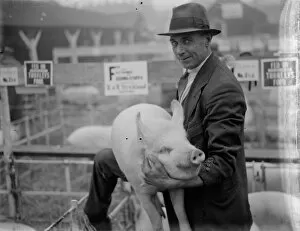 Farmer Collection: Dartford fat stock show. A man proud of his pig. 1935