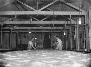 Dartford Prints Works. 1934