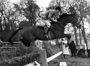 Sport Prints: David Barker riding Franco during olympic training at Arundel Castle Sussex 1960