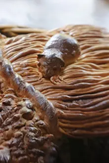 Decorative loaf in shape of sheaf of wheat with mouse for harvest festival credit