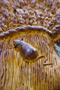 Decorative loaf in shape of sheaf of wheat with mouse for harvest festival credit