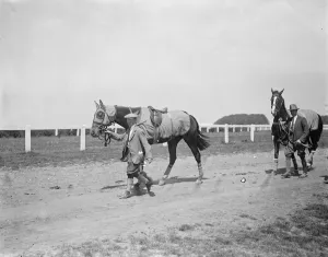 Derby Favourites arrive at Epsom. St Louis ( on right ) the present Derby favourite