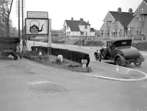 Dog Cemetery in Hildenborough, Kent. 1933