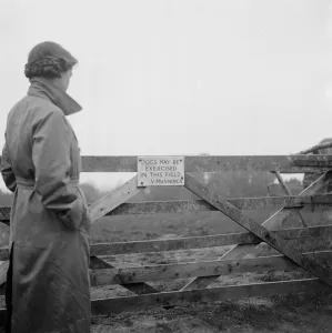 Long Coat Prints: A dog sign on a gate in Colchester, Essex. The sign reads : dogs may be exercised
