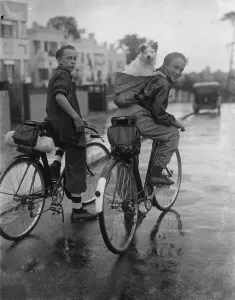Have dog, will travel. A boy riding a bike with a dog on his back in a rucksack